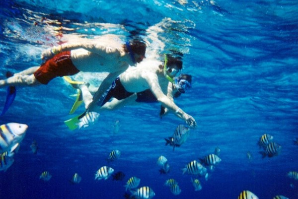 Reef Snorkel Adventure